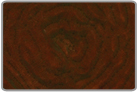 Multi-Tiered Orange Scrolling Monti Coral - Cultured